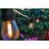 Ghirlanda luminoasa, 20m + 20 becuri plastic 1 W, cu filament (+2 rezerva), 220V. [4]