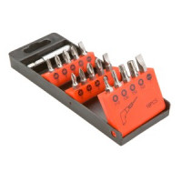 Surubelnita -varfuri cu maner, 16 buc -set