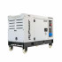 Generator diesel monofazat ITC Power DG10000SE, 8,5 kW, insonorizat, AVR [3]