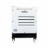 Generator diesel monofazat ITC Power DG10000SE, 8,5 kW, insonorizat, AVR [5]