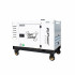 Generator diesel monofazat ITC Power DG10500SE, 8,5 kW, controller DC30, insonorizat [16]