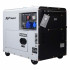 Generator diesel monofazat ITC Power DG7800SE, 6,3 kW, insonorizat, AVR [5]