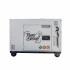 Generator diesel Full Power ITC Power DG8500SE-T, 7,9 kVA, 230/400 V, insonorizat [2]