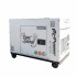 Generator diesel Full Power ITC Power DG8500SE-T, 7,9 kVA, 230/400 V, insonorizat [3]