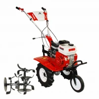 Motocultor BISONTE Agro Garden BTA-750 latime lucru 560–830mm adancime 300mm motor 7cp fara cover Motocultor BISONTE Agro Garden BTA-750 latime lucru 560–830mm adancime 300mm motor 7cp fara cover