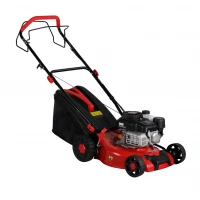 Masina de tuns gazonul BISONTE Agro Garden BTA-MTG425 motor benzina 2.7 cp Masina de tuns gazonul BISONTE Agro Garden BTA-MTG425 motor benzina 2.7 cp