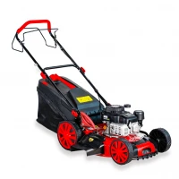 Masina de tuns gazonul BISONTE Agro Garden BTA-MTG450 motor benzina 3.1 cp