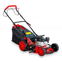 Masina de tuns gazonul BISONTE Agro Garden BTA-MTG500 motor benzina 3.5 cp