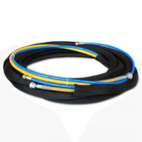 Kit furtunuri AirCoat Wagner -DN4-PN270-1/4″NPS-10 m Kit furtunuri AirCoat Wagner -DN4-PN270-1/4″NPS-10 m