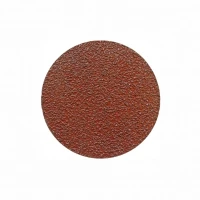 Disc abraziv Rokamat 200 mm granulometrie 24 (4 buc) pentru Chameleon Disc abraziv Rokamat 200 mm granulometrie 24 (4 buc) pentru Chameleon