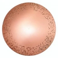 Disc metalic abraziv pentru Chameleon ROKAMAT Ø 200 mm, fin (2 buc) Disc metalic abraziv pentru Chameleon ROKAMAT Ø 200 mm, fin (2 buc)