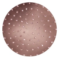 RS Disc abraziv metalic dur pentru Chameleon ROKAMAT (2 buc)