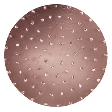 RS Disc abraziv metalic dur pentru Chameleon ROKAMAT (2 buc)