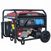 Generator de curent BISONTE SK10000E putere maxima 8,0 kW 230V pornire electrica si roti