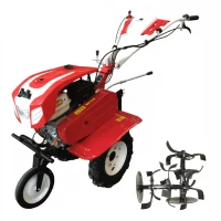 Motocultor BISONTE Agro Garden BTA-900 latime de lucru 560 – 830 mm, adancime 300 mm, motor 7 cp Motocultor BISONTE Agro Garden BTA-900 latime de lucru 560 – 830 mm, adancime 300 mm, motor 7 cp