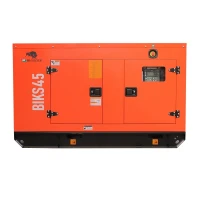 Generator de curent Bisonte BIKS45, insonorizat, Putere maxima 44kVA 400V ATS inclus