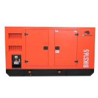 Generator de curent Bisonte BIKS165, insonorizat, Pmax=165kVA 400V ATS inclus