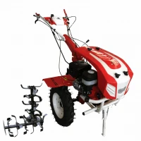 Motocultor BISONTE Agro Garden BTA-13SG latime de lucru 1350 mm, adancime 300 mm, motor 13 cp Motocultor BISONTE Agro Garden BTA-13SG latime de lucru 1350 mm, adancime 300 mm, motor 13 cp
