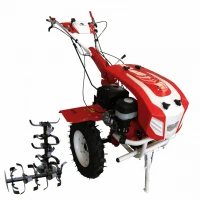 Motocultor BISONTE Agro Garden BTA-16SG latime de lucru 13500 mm, adancime 300 mm, motor 16 cp