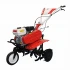 Motocultor BISONTE Agro Garden BTA-750 FR latime lucru 560-830mm adancime 300mm motor 7cp (FR) [4]