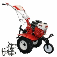 Motocultor BISONTE Agro Garden BTA-900FC latime lucru 560–830mm adancime 300mm motor 7cp (FC) Motocultor BISONTE Agro Garden BTA-900FC latime lucru 560–830mm adancime 300mm motor 7cp (FC)