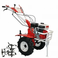 Motocultor BISONTE Agro Garden BTA-1000FC-HLS (reductor) latime lucru 56-83cm, adancime 30cm, 7cp Motocultor BISONTE Agro Garden BTA-1000FC-HLS (reductor) latime lucru 56-83cm, adancime 30cm, 7cp