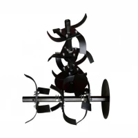 Freza completa BISONTE Agro Garden cu discuri laterale ax Ø23mm Freza completa BISONTE Agro Garden cu discuri laterale ax Ø23mm