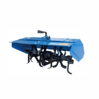 Freza pamant BISONTE Agro Garden BTA-RT60F Freza pamant BISONTE Agro Garden BTA-RT60F