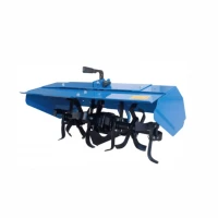 RS Freza pamant BISONTE Agro Garden BTA-RT60F RS Freza pamant BISONTE Agro Garden BTA-RT60F