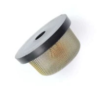 Filtru vopsea Wagner Fine Coat