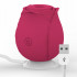 Accesoriu stimulare Intima Rose, 10 moduri - Irisana [5]