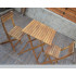 Set masa patrata plianta, cu 2 scaune pliante, gradina sau balcon ART GARDEN [9]