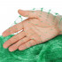 Plasa anti pasari 8x14m din polietilena, cu pini de fixare, verde [14]