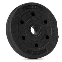 Disc greutate haltera, 1,25 kg, umplutura bitumica, invelist PP, 29 mm, negru Disc greutate haltera, 1,25 kg, umplutura bitumica, invelist PP, 29 mm, negru