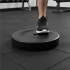 Disc greutate haltera, 20 kg, umplutura bitumica, invelist PP, 31 mm, negru [2]