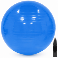 Minge pentru fitness 55 cm, antiderapanta, cu pompa inclusa, maxim 150 kg, albastru
