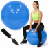 Minge pentru fitness 55 cm, antiderapanta, cu pompa inclusa, maxim 150 kg, albastru [13]