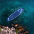 Set placa gonflabila Stand Up PaddleBoard 350x81x15 cm, cu pompa, kit de reparatii, geanta de transport, vasla, maxim 150 kg, albastru [28]