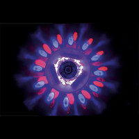 Lampa plutitoare cu LED pentru piscina Bestway FloatBright, 4 culori, 7 moduri, functionare cu 3 baterii AA