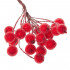 Set decorativ ramuri cu merisoare rosii artificiale inghetate, 15 cm, 200 boabe, rosu [2]