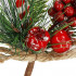 Ramura decorativa Craciun cu fructe rosii, acadea si sfoara iuta, 24 cm, rosu [9]