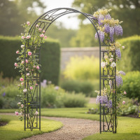 Pergola gradina metalica, suport pentru plante cataratoare, 150x40x250 cm, negru Pergola gradina metalica, suport pentru plante cataratoare, 150x40x250 cm, negru