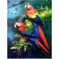 Set de broderie cu diamante 5D, 30x40cm, model Papagali Set de broderie cu diamante 5D, 30x40cm, model Papagali