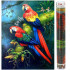 Set de broderie cu diamante 5D, 30x40cm, model Papagali [16]