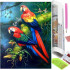 Set de broderie cu diamante 5D, 30x40cm, model Papagali [18]
