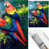 Set de broderie cu diamante 5D, 30x40cm, model Papagali [20]