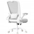 SONGMICS Scaun de birou ergonomic reglabil cu spatar mesh si suport lombar, maxim 120 kg, 64x64x107 cm, gri deschis [7]