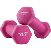 SONGMICS Set 2 gantere fitness de 0,5 kg fiecare, greutate totala 1 kg, pentru exercitii si antrenamente acasa sau la sala, miez din fonta cu invelis