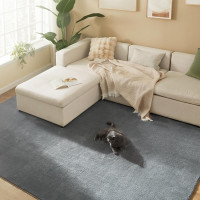 SONGMICS Covor decorativ antiderapant, lavabil la masina, 200×290 cm, gri SONGMICS Covor decorativ antiderapant, lavabil la masina, 200×290 cm, gri