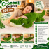 Jucarie de plus Crocodil urias 100 cm, multifunctionala 2 in 1, perna moale pentru imbratisat si relaxare, umplutura elastica din fibre, ideala pentru [2]